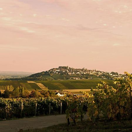 Au 9 Rue De La Paix, Maison D Elisabeth Villa Sancerre Dış mekan fotoğraf